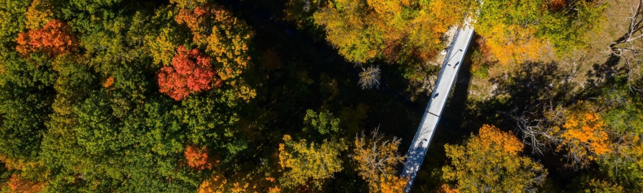 Aerial shot of campus with fall trees and student crossing a bridge